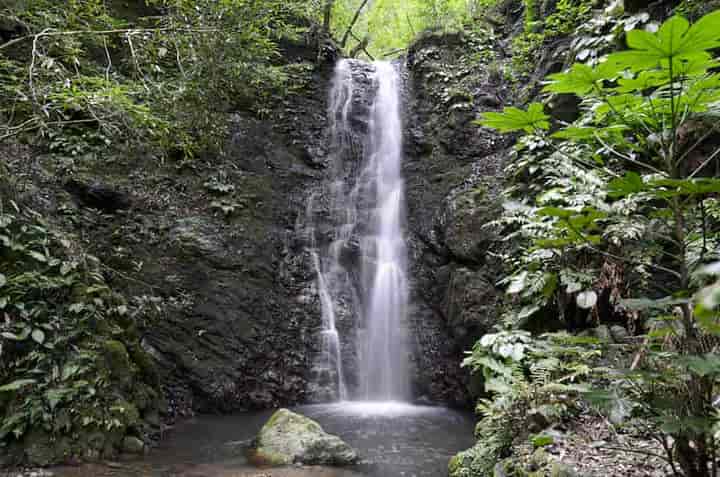 龍王の滝・滝前より
